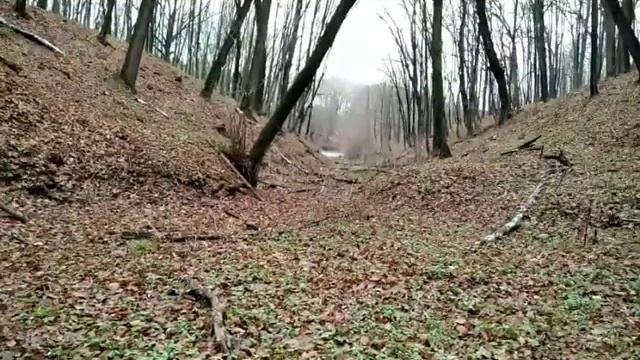 Отдых в зимнем лесу,без снега ето было что-то,невероятное коп монет,нашёл топор,) смотреть онлайн