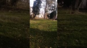 Заброшенный пионерский лагерь в Новомихайловском! Ставьте лайки и подписывайтесь! пишите комментари