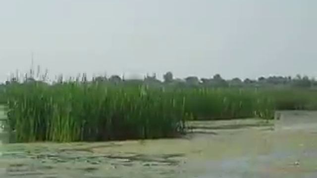 Покатушки на Обь-3 с мотором Вихрь-30 смотреть онлайн