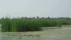 Покатушки на Обь-3 с мотором Вихрь-30