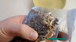 Как правильно пользоваться термосом.