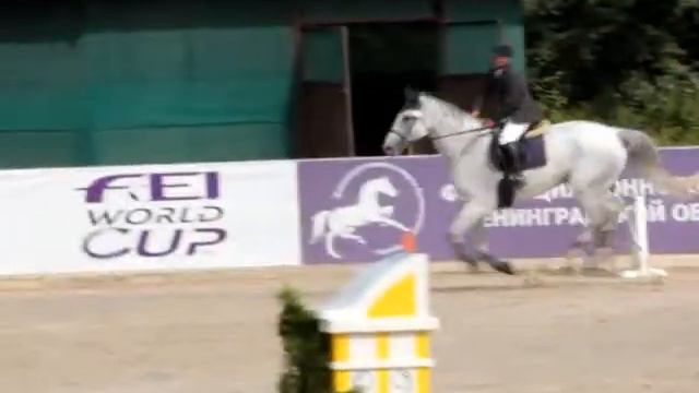 ЛОГО 110см .Кубок Губернатора Ленинградской области 06.07.2013 .Клуб Дерби смотреть онлайн