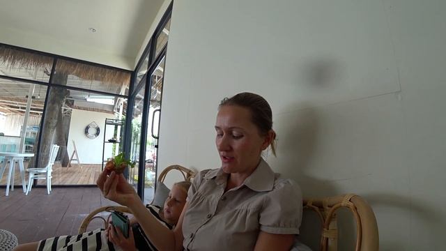 Завтрак в Кафе на Пляже | Остров Самуи Пляж Банг По | Обзор кафе смотреть онлайн