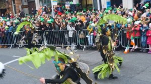 Dublin on St. Patrick's Day - IRELAND