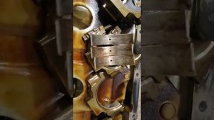 Стружка в масле