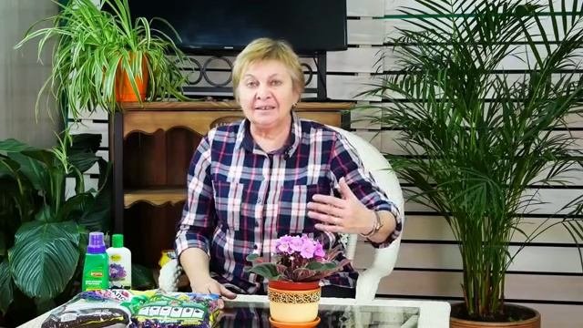 Фиалки: секреты выращивания ? Почему не цветут фиалки? ? Полезные советы цветоводам