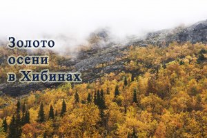 Золотая осень в Хибинах, Кольский полуостров, сентябрь 2023