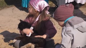 Девочка нашла кота. Папа "попал"...