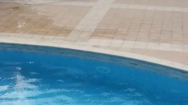 Болгария. Албена. Магнолия Гарден 2* смотреть онлайн