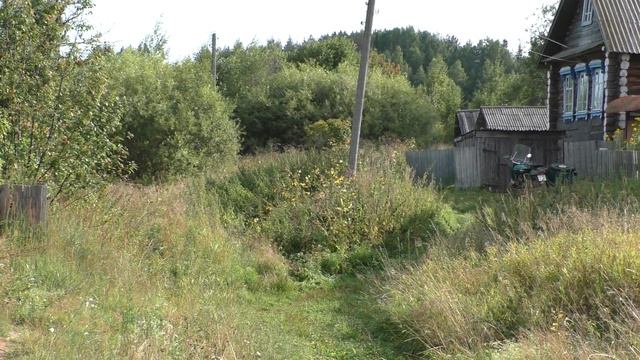 Пустые деревни Владимир Копейкин(гармонь) смотреть онлайн