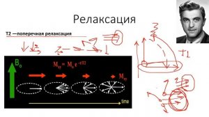 Основы МРТ(ЧАСТЬ 2).  T1 и T2 ВИ, матрица и FOV.