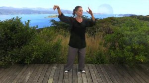 Tai Chi 5 min a Day module 02 - Easy for Beginners - Cloud Hands and Single Whip