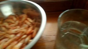 Может ли дать потомство замороженная Одесская креветка ?)))