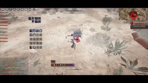 BDO Woosa Awakening NODEWAR PVP