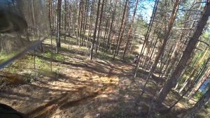 Лесной тест трёх гусей F800GS/R1100GS/R1150GS