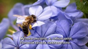 КУЗНЕЧИК - Детская песенка для самых маленьких