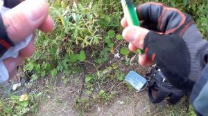 Техас VS Судак,ловля судака на техасскую оснастку в коряжнике