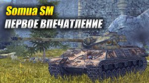 #SomuaSM - Обзор и первое впечатление (Tanks Blitz | Танки Блиц)