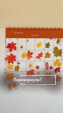 Перевернули календарь? 📅