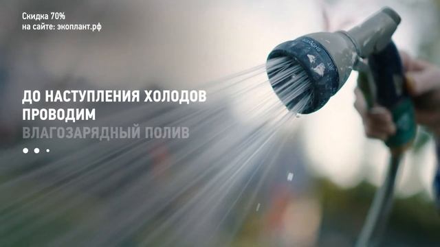 ПЛОДОВЫЕ деревья ОСЕНЬЮ?Осенний уход за плодовыми в ПОДМОСКОВЬЕ