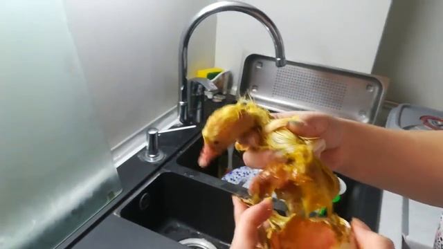 Вывод гусят. Гусенок из двухжелткового яйца. смотреть онлайн