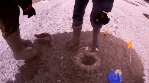 Ловля ФОРЕЛИ на платнике ЗИМОЙ ! Рыбное! Зимняя рыбалка!