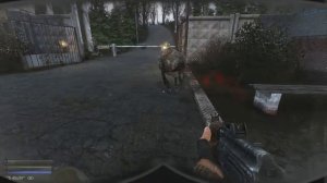 S.T.A.L.K.E.R. Lost World Troops of Doom Spawn