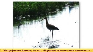 Видеоотчёт конкурса Чистые пруды. МБУДО "ДЮЦНП "Рязанский оберег"