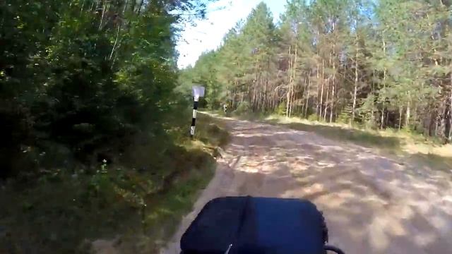 Путешествие в лесную глушь, где поклоняются идолам! С Дмитрием Мусихинум и Юлечка смотреть онлайн