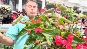 Hanging Basket Rescue: fixing the most common container problems