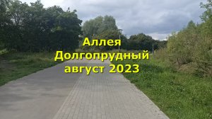 Аллея Долгопрудный август 2023