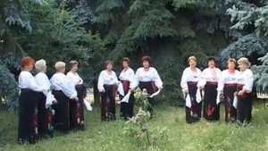 Черна редька