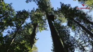 Земная жизнь — ссылка для исправления - Никон (Воробьев) - Избранные письма