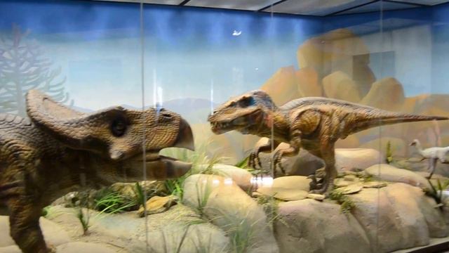 Живые динозавры в Дарвиновском музее смотреть онлайн