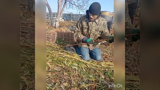 Как мы чистим иву от листвы. 2 варианта, СМОТРЕТЬ ДО КОНЦА там самый норм способ). смотреть онлайн