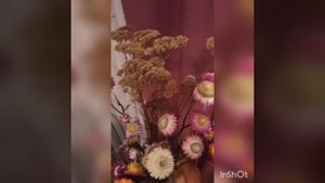 Сухоцвет гелихризум в букете
