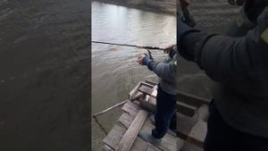Рыбалка на Узе