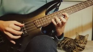 Bass guitar relaxing music