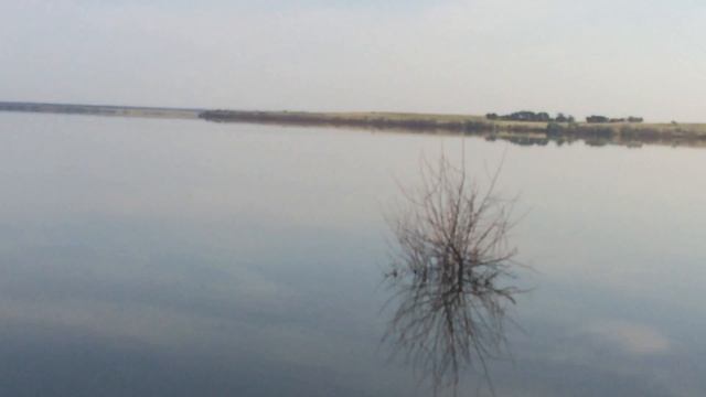 Малиновое озеро потеряло свой малиновый цвет.Алтайский край.