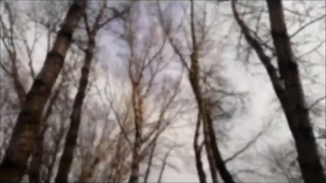 Book-trailer "Голодные Игры" смотреть онлайн