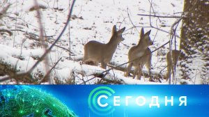 «Сегодня»: 19 февраля 2023 года. 16:00 | Выпуск новостей | Новости НТВ