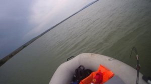 Огромный сом на квок. Июнь 2020.