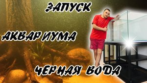 Запуск аквариума 540 литров. Биотоп Амазонки. Чёрная вода..mp4