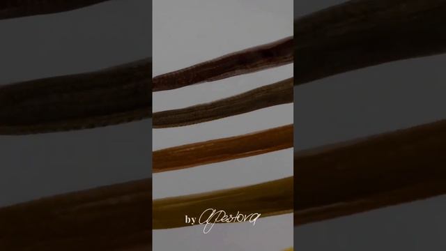 Тестируем новые пигменты #перманентныймакияж #перманент #пигменты смотреть онлайн