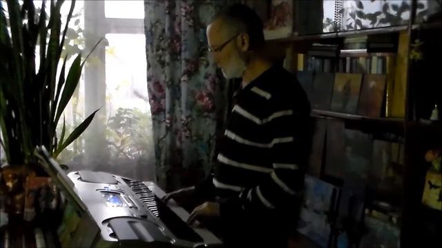 "Созвучие души". Посвящение любимой. Исп. авт. - Пушкара (синтезатор) смотреть онлайн