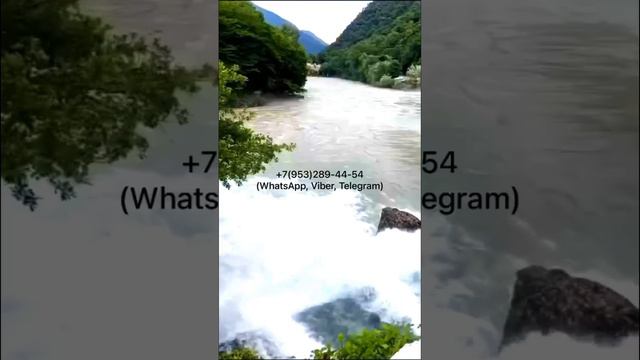 Экскурсии из Сочи, Адлера. Звоните, пишите +7(953)289-44-54 , описание под видео #абхазия #сочи