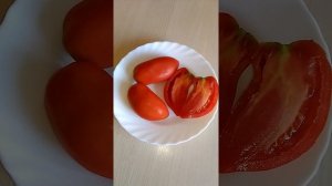 Томат Испанский лефевра. Отзыв.
