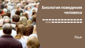 Биология поведения человека Лекция #23. Язык [Роберт Сапольски, 2010. Стэнфорд]