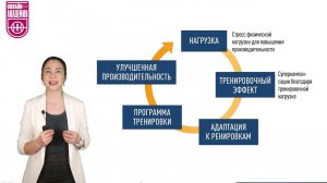 Тренировочный стимул. Урок 2. Терминология