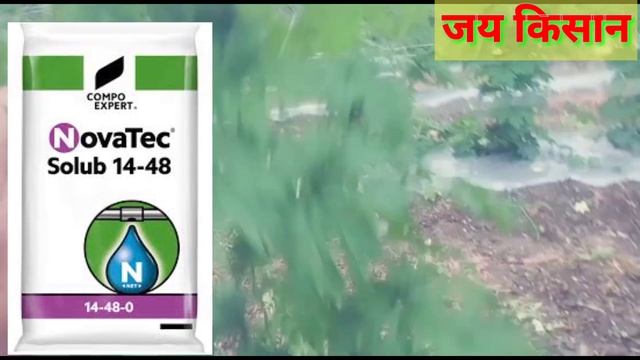 14 : 48 fertilizer कि पुरी जाणकारी COMPO क्या है जणलो अभी@Ajitwavhal #अजितवाव्हळ смотреть онлайн